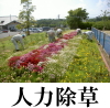 除草1
