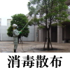 害虫駆除2